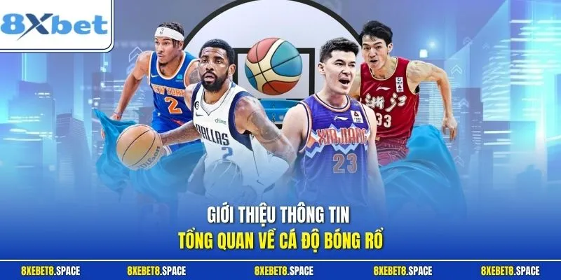 Giới thiệu thông tin tổng quan về cá độ bóng rổ