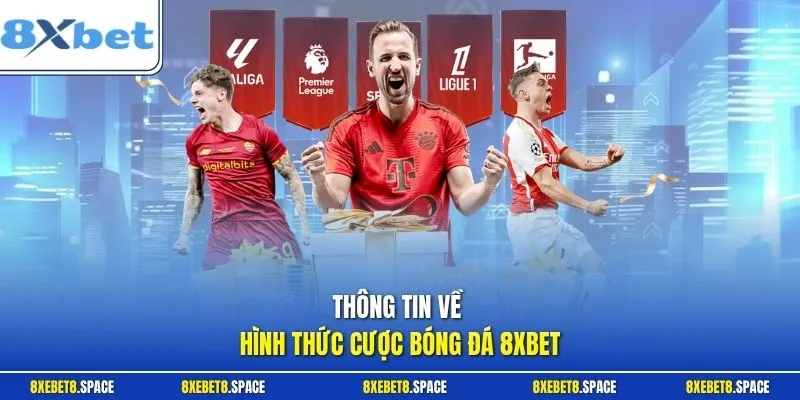 Thông tin về hình thức cược bóng đá 8xbet